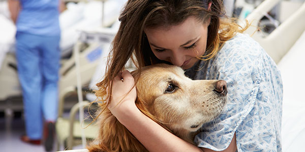 Hospital patient hugging therapy dog