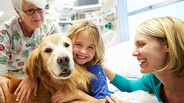 Little girl with therapy dog in hospital