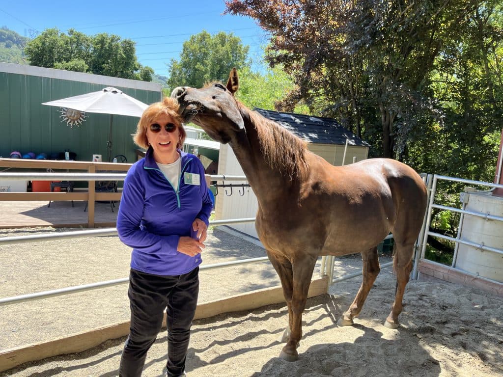 Kim Kellogg and horse