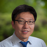 Jeffrey Wang, M.D.