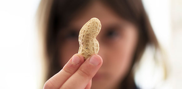 Girl holding peanut