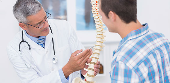 Doctor showing anatomical spine to patient
