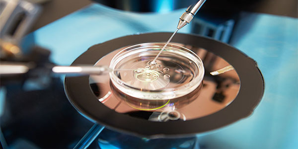 Reproductive Technology Petri Dish