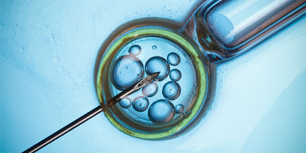 Close up of IVF process