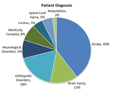 Pie Chart Displaying Patient Diagnosis: Stroke 40%, Orthopedic Disorders 18%, Brain Injury 13%, Neurologic Disorders 9%, Medically Complex 8%, Spinal Cord Injury 5%, Cardiac 5%, Amputation 2%