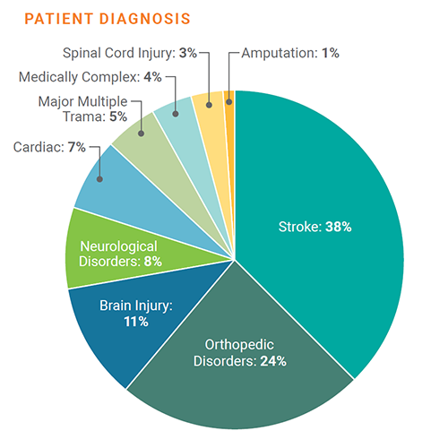 Pie Chart Displaying Patient Diagnosis: Stroke 38%, Orthopedic Disorders 24%, Brain Injury 11%, Neurologic Disorders 8%, Cardiac 7%, Major Multiple Trama 5%, Medically Complex 4%, Spinal Cord Injury 3%, Amputation 1%