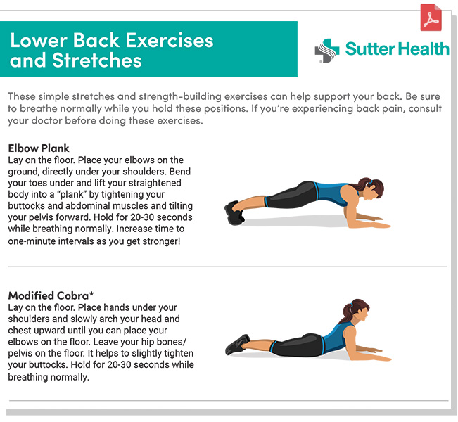 preview of Lower Back Excercises and Stretches pdf