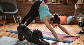 Girl in downward facing dog with her black doodle puppy next to her in same pose