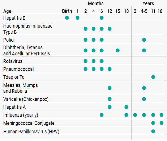 age, months, years. hepatitis B= birth,1, 6 months. Haemophilus Influenzae Type B= Birth, 2, 4, 6, 12 months. Polio= 2, 4, 6 months, 4-5 years. Diphtheria, Tetanus and Acellular Pertussis= 2, 4, 6, 15 months and 4-5 years. Rotavirus= 2,4, 6 months. Pneumococcal= 2, 4, 6, 12 months. Tdap or Td= 11 years. Measles, Mumps and Rubella= 12 months and 4-5 years. Human Pappillomavirus= 11 years.