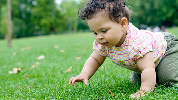 Baby girl crawling in grass