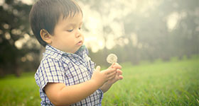 Little boy playing with dandelion