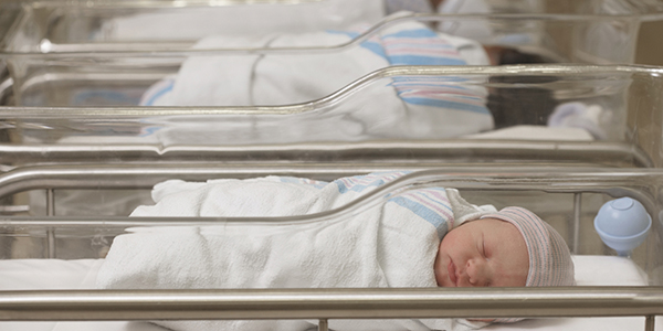 A row of newborn babies in a hospital ward.